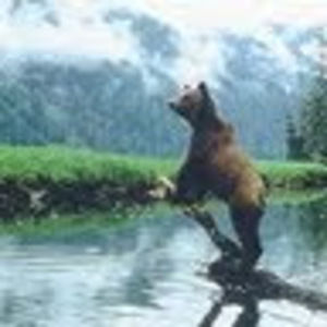 Meet your Posher, Clementine